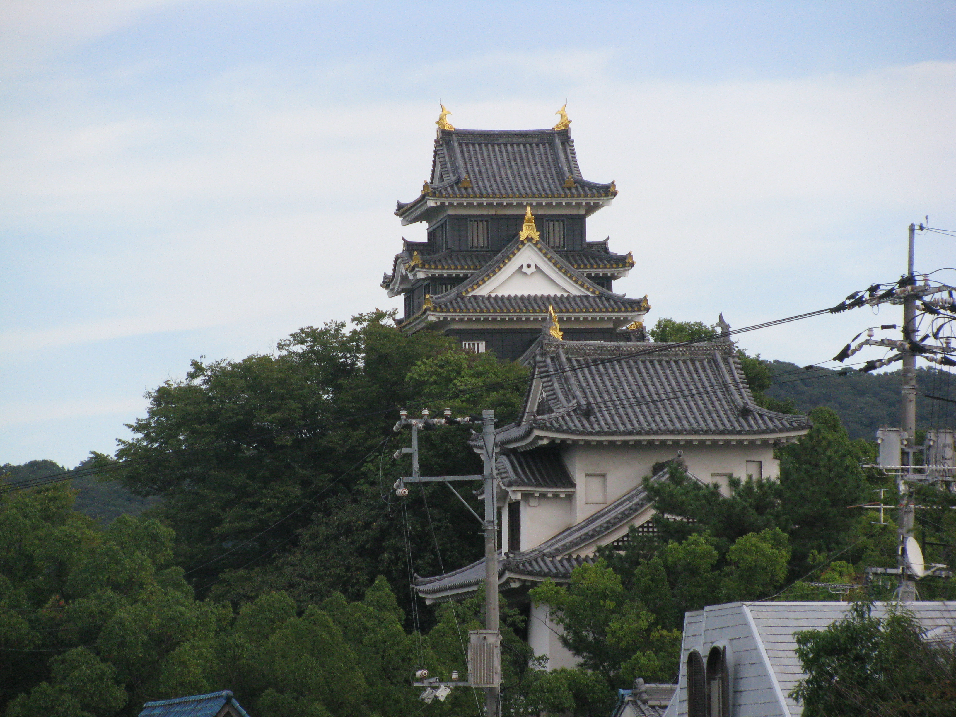画像 005.jpg
